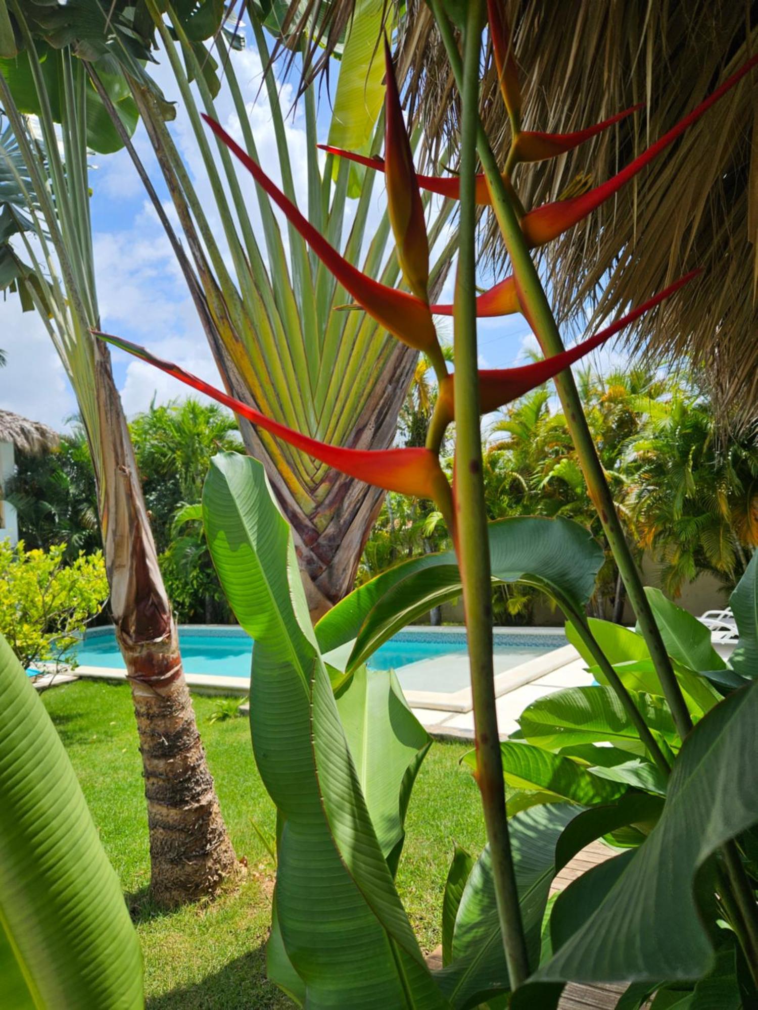 Casa Shambala B&B 라스테레나스 외부 사진