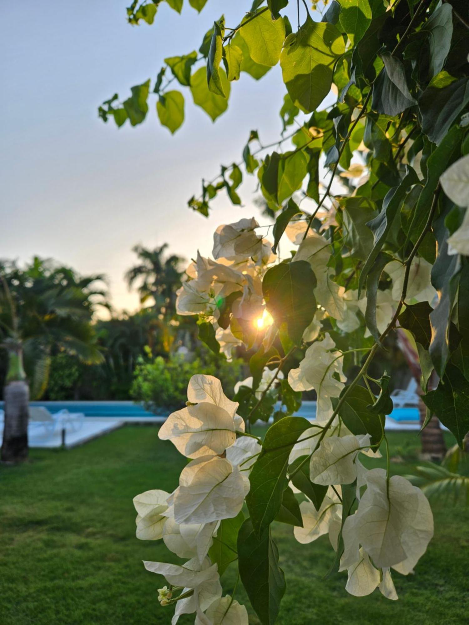 Casa Shambala B&B 라스테레나스 외부 사진